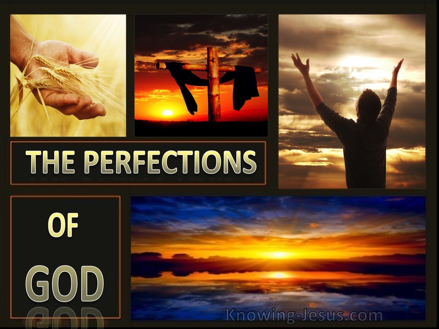 The Perfections Of God  (devotional)08-13 (gold)